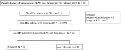 Immune checkpoint inhibitor increased mortality in lung cancer patients with Pneumocystis jirovecii pneumonia: a comparative retrospective cohort study